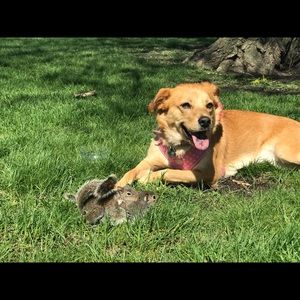 Meet your Posher, Natalia